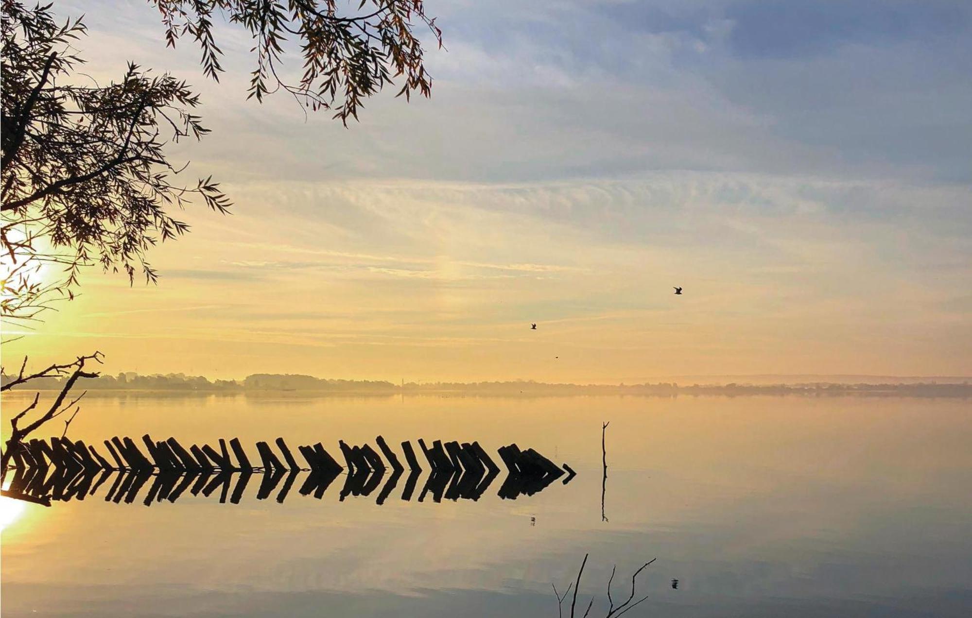 Cozy Home In Lembruch-Duemmer See With Sauna ภายนอก รูปภาพ